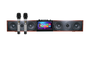 ������� ����� ������� ��� ����  ESTRADA HD Soundbar